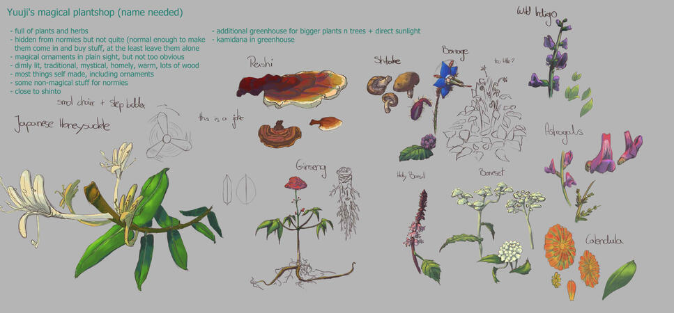 Possible Herbs and Plants