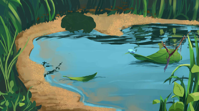 Study